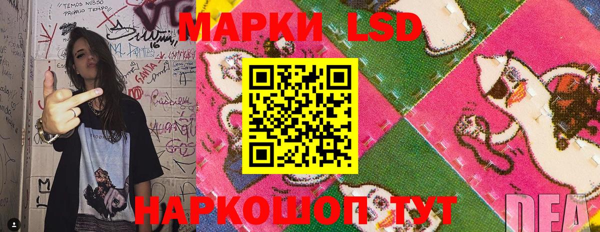 Губкинский  Марки N-bome 1,8мг  Вход с VPN 